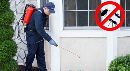 Siverek Hamam Böceği İlaçlama böcek ilaçlama ve haşere kontrolü — ilaclama-tr.com